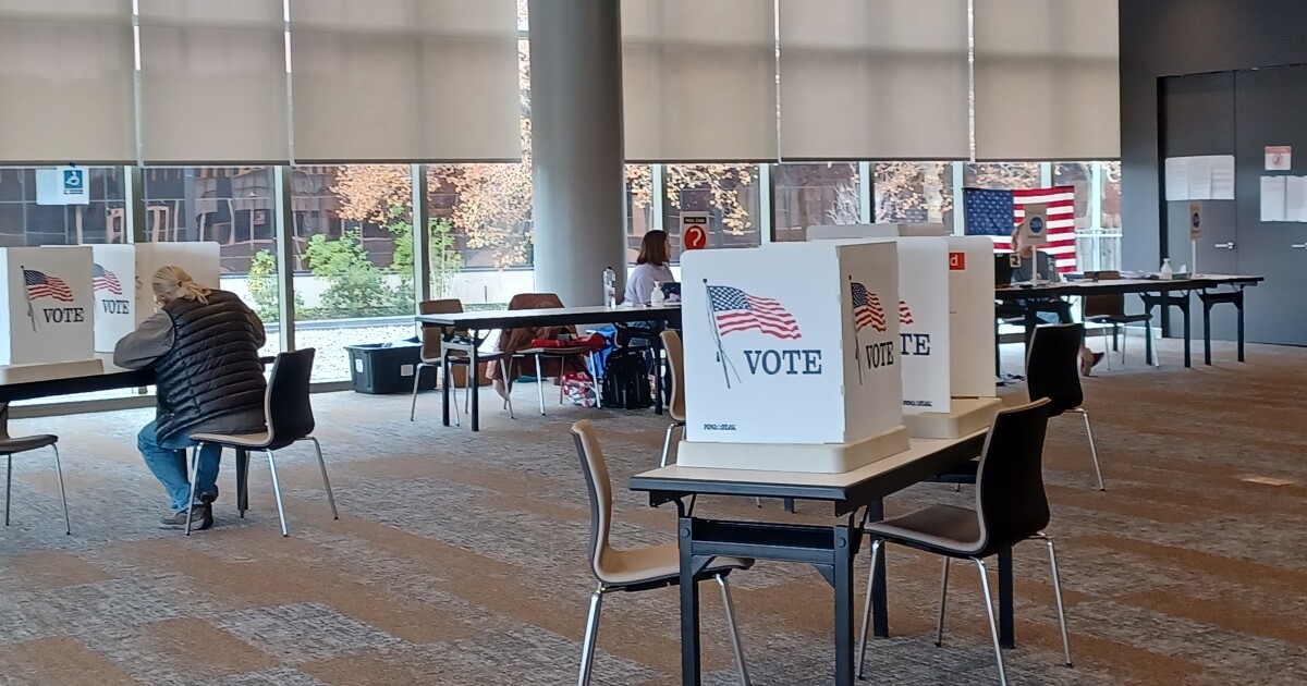 Kalamazoo voters approve ranked choice voting