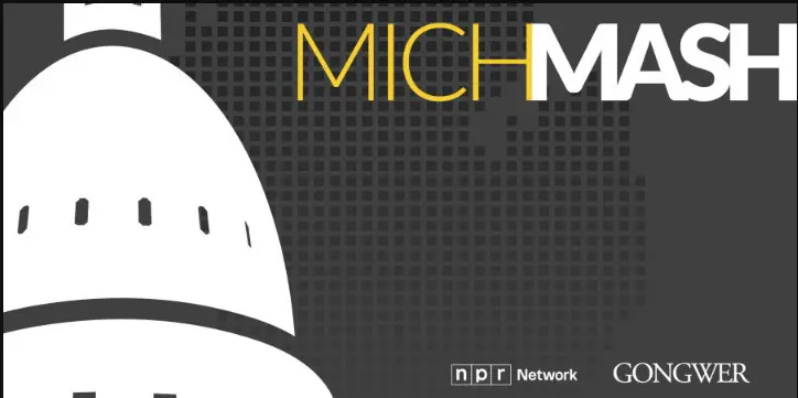 Rank MI Vote Featured on MichMash on WDET